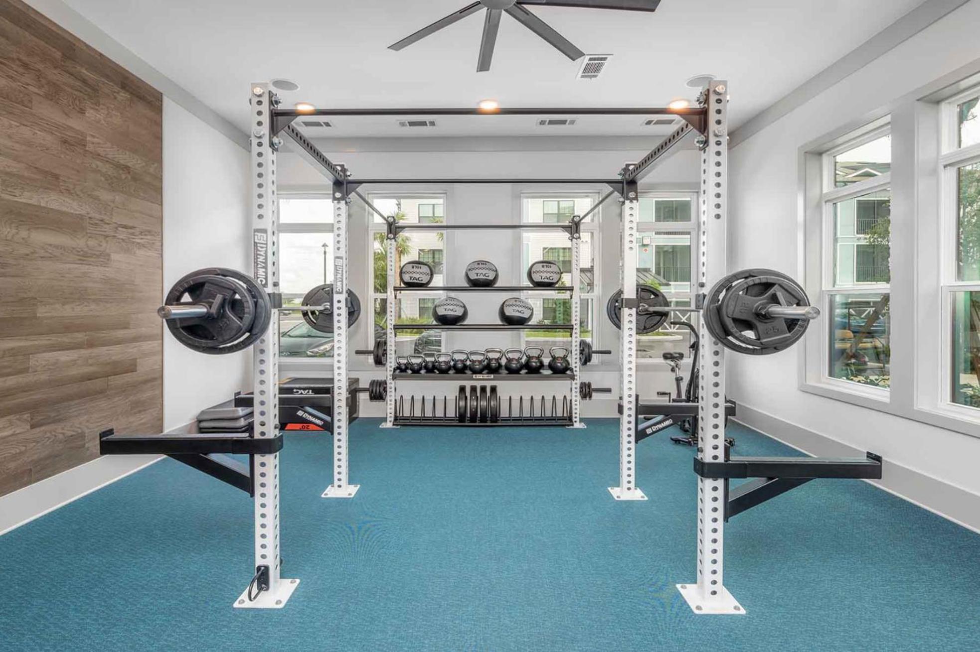Full With King Bed, Pet-friendly & 15 Min To Parks And Lots Of Amenities Apartment